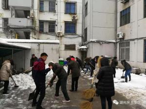 抗雪特輯 | 致大雪中可愛(ài)的房總人！